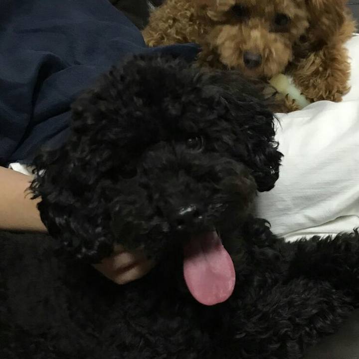 182c9141 ac32 4c38 9373 4f6fefe268e9