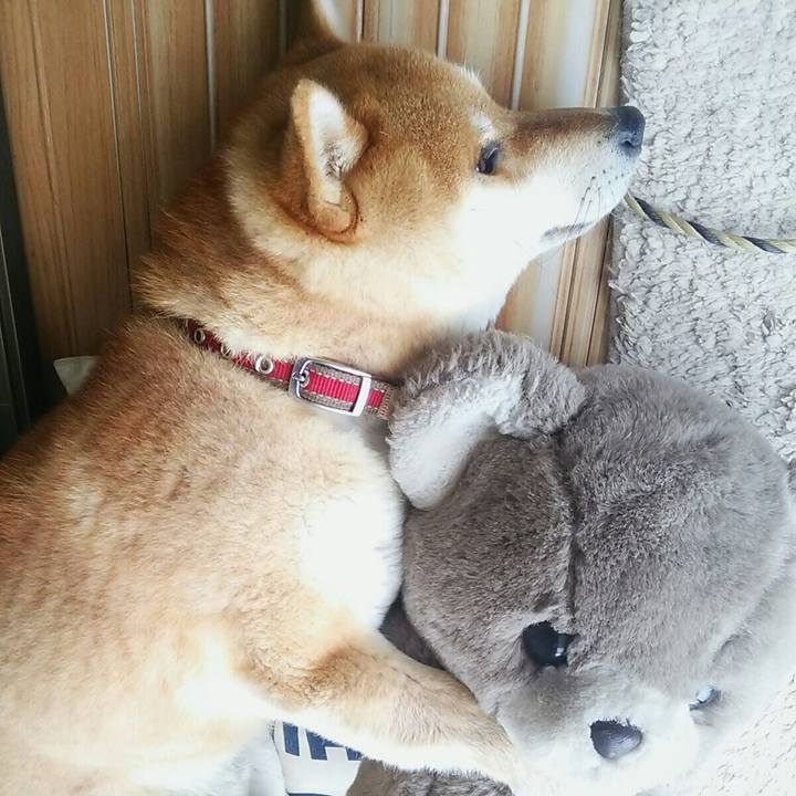 182cabeb e3e6 4088 8d2c 580d27f64fb0