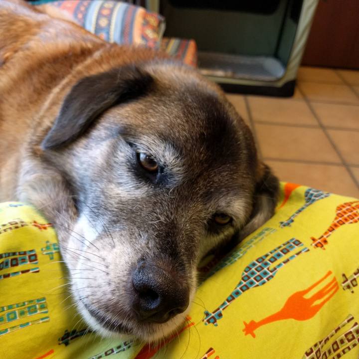 182cf7f5 bee8 4f7e a0c1 12b34233c264