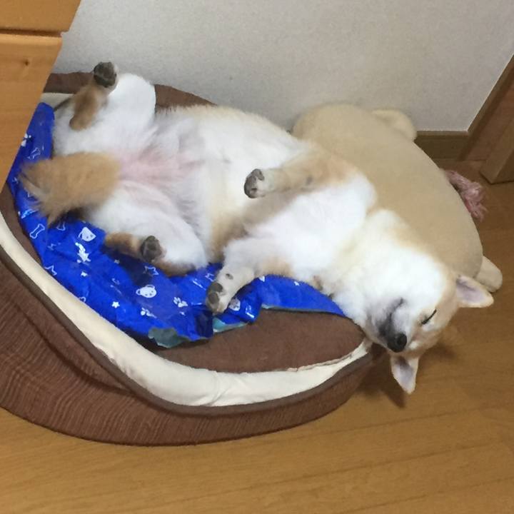 182d5181 aa20 4abf a7bc d70aa77238b2