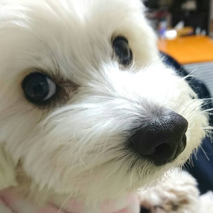 182d9971 7689 4cb3 9797 bbc8fd5fc8bc