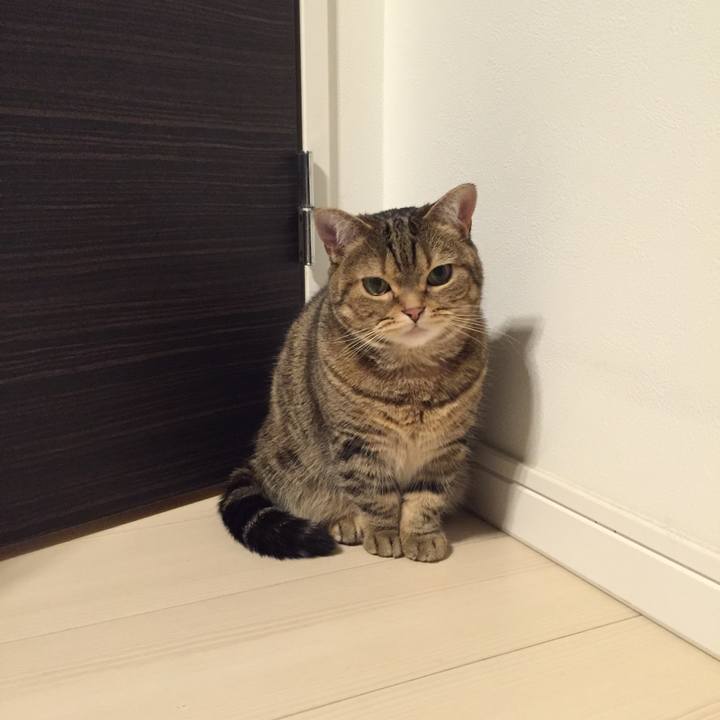 182e1df7 6375 402d 900c 5e7af006490e