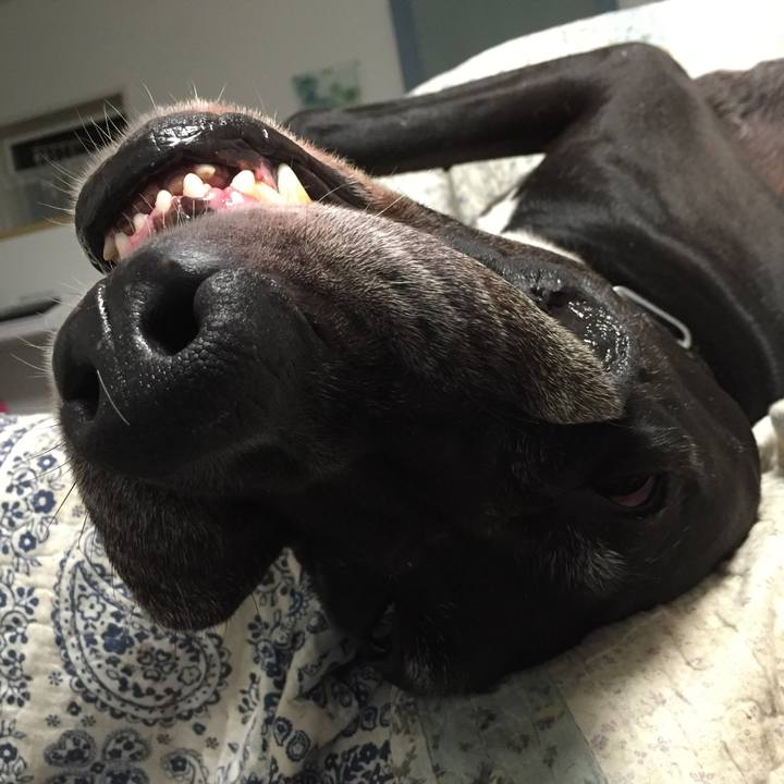 182f0f96 0573 4e0e 90d6 90c3e07b6bd6