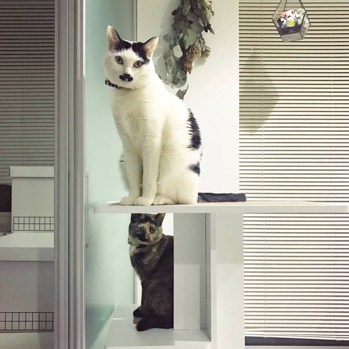 18311c66 e25d 4b42 8bc8 869acbf8e694