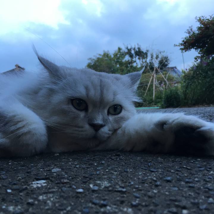 1831643a 955e 480e ad4f 5b664a59727c