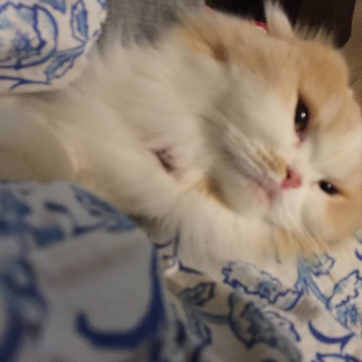 18317595 3eef 4da9 86bf cfd012f5e7ec