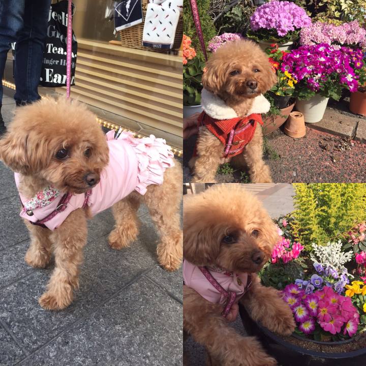 1832253a 7f2f 4512 ad16 a0d6aece7bb9