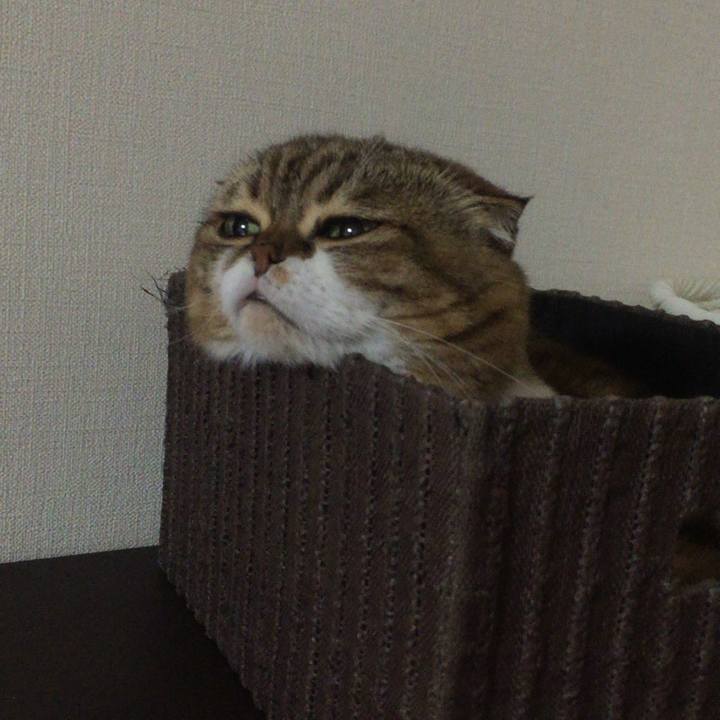 18324337 2b13 4f96 9106 36cc7738d178