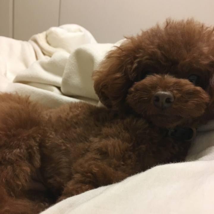 1832a994 a9e4 48d3 9e17 39fc4c8de263