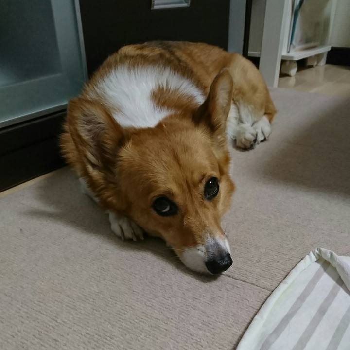 183319b7 ac0b 4fa9 a95e 236c421e3f45