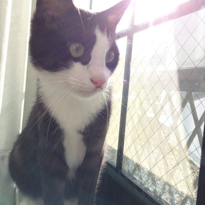 1833701e 8b20 45f0 875e 8b9d9355ae8c