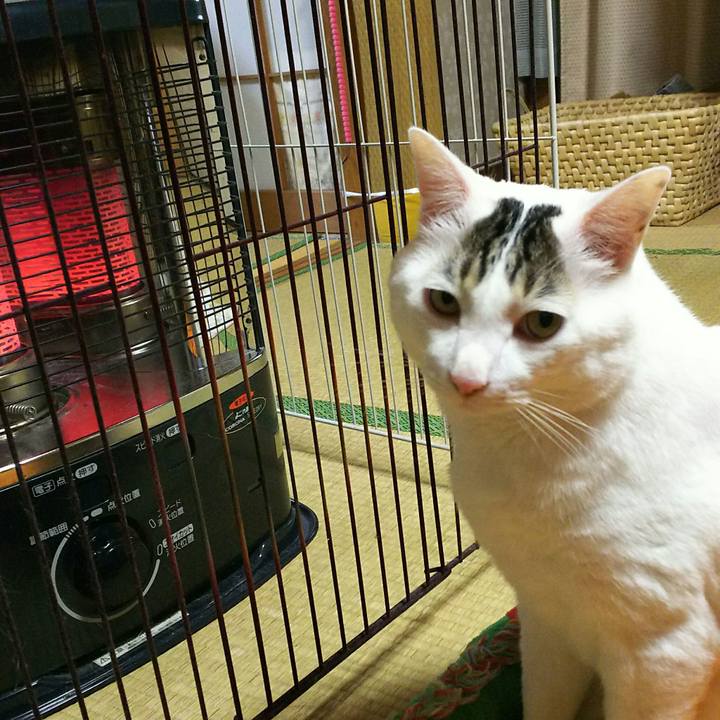 18343948 c6fd 4072 87ad 5cf5897f652e