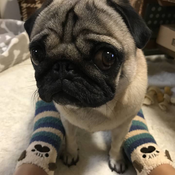 18344a28 614d 41a3 b322 ed168a963d05