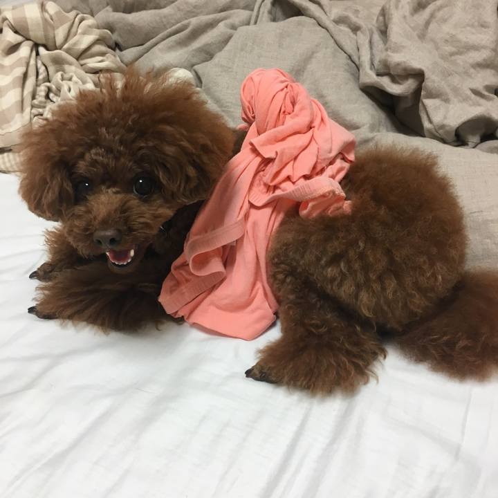 18349bd2 450f 49a7 a734 2e5796270857