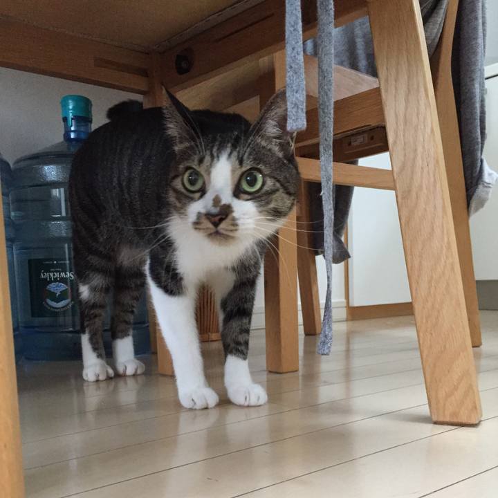 1834f2ed 1ecd 4f3d b8a7 4f7a4f6f257b