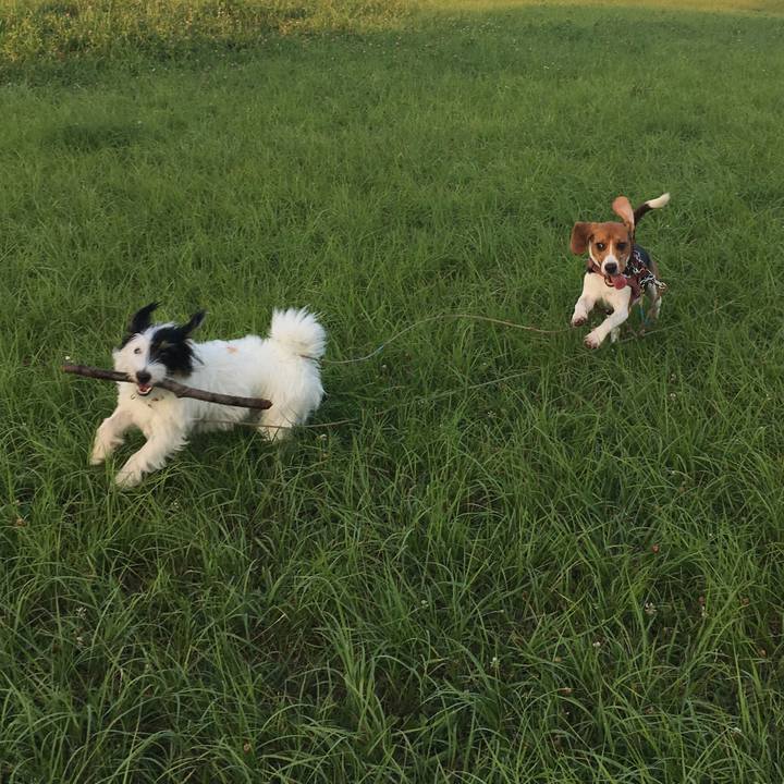 18351427 05dd 4b93 9248 c5d3cb5fbeec