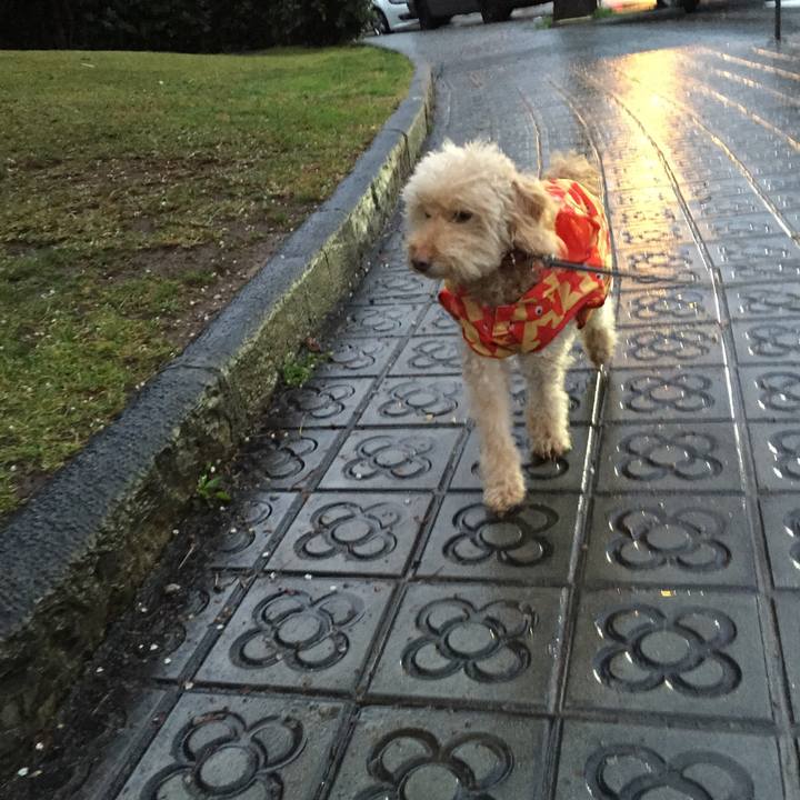 18354ab3 6313 49c7 be6e 2204a977ddf1