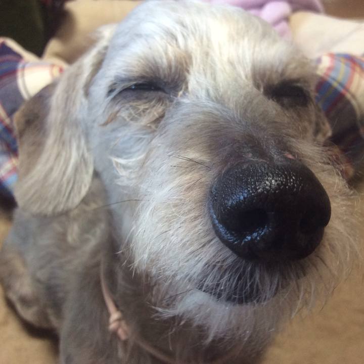 18359b5f 0952 4813 ad48 5ee102e2a4dd