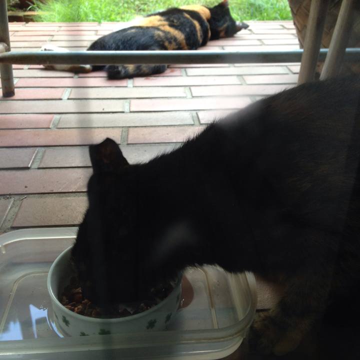 1835e8db 1ce4 4541 9f83 44f41e1f198b