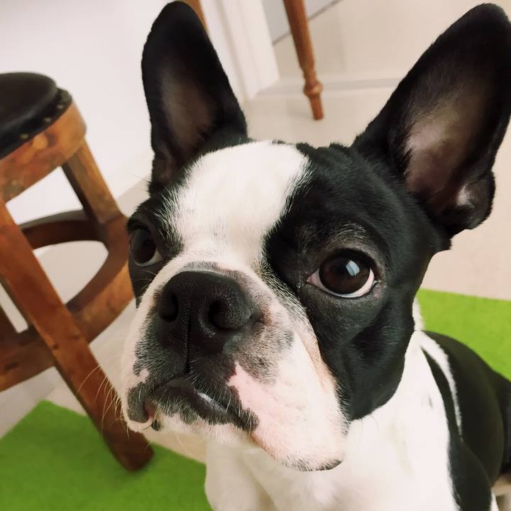 18360f88 502d 43cd a21b f858eb3fe0b5