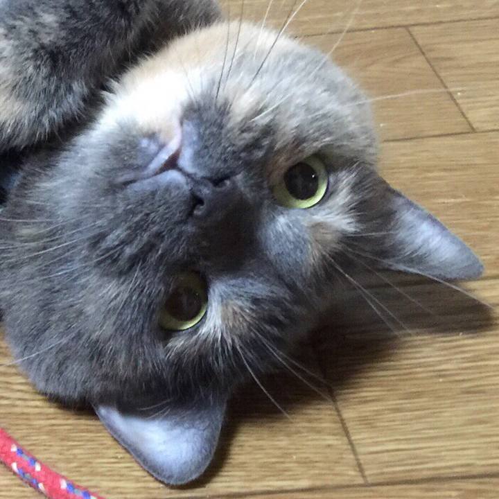 18362fb7 d3bd 4cf0 bcce 37d6d0519f9f