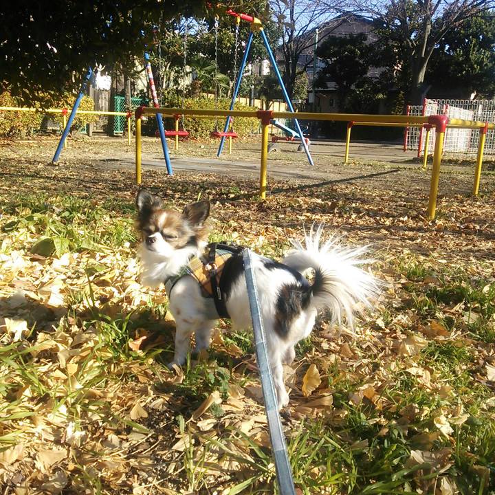 183637a6 38d2 4409 9952 77ff4792329e