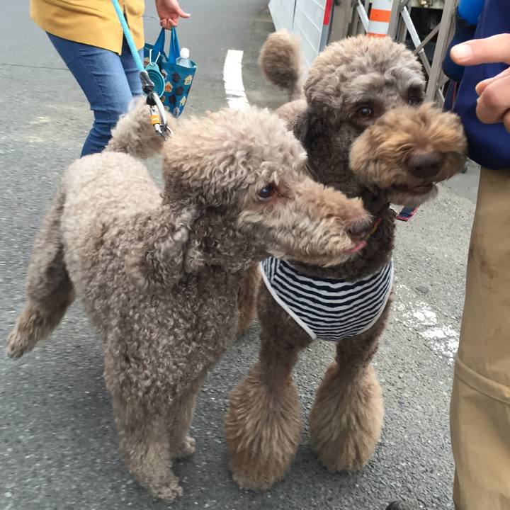 18371163 ea43 4d8b 84ab 31dfda829986