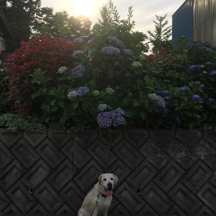 18371b09 407a 4545 a048 d78c2baddce9