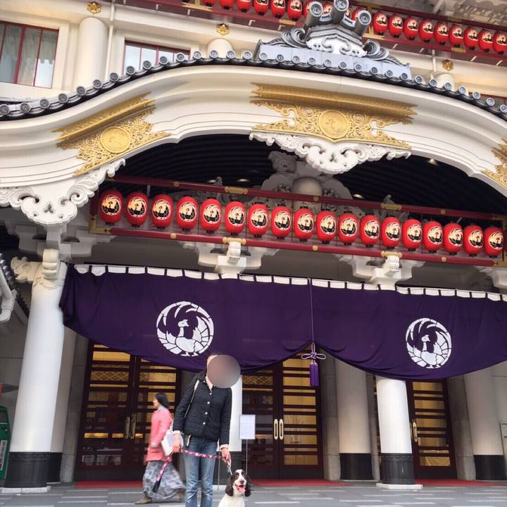 18377d07 d7b5 493f b962 ccbab76de29d