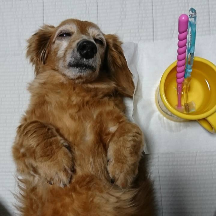 1838a05f cea4 4e03 a00e 653b6b45d78f