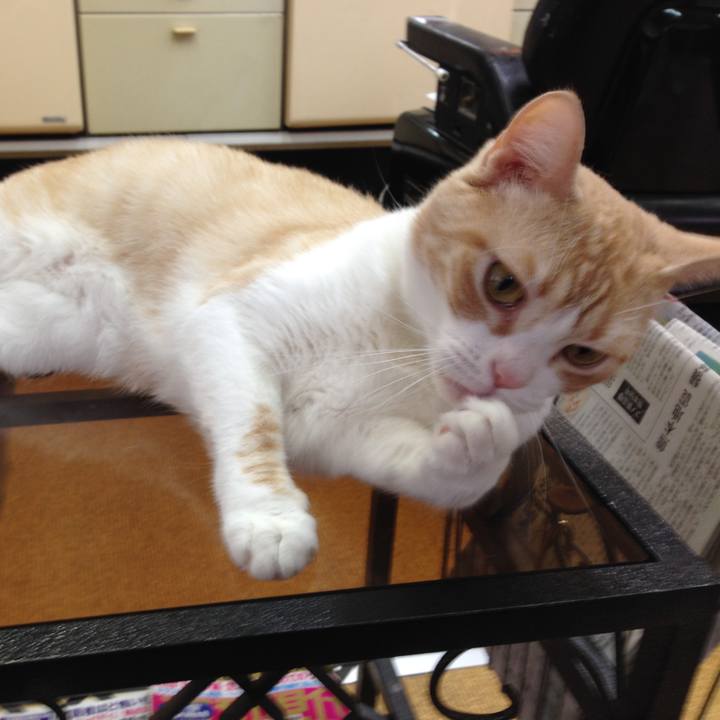 1838a511 32dc 45f2 83d2 61725dd6d78e