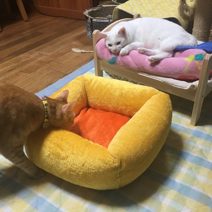 1838e66e 7eb9 4178 8cd8 4b1c472d2609