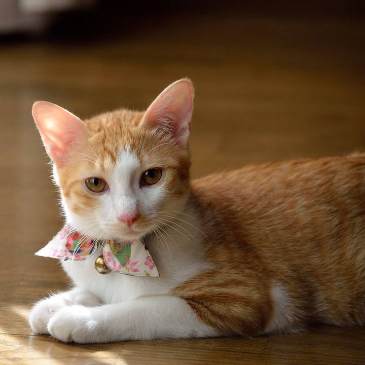 18397aa3 6158 4487 97b7 bf50cf82fcc1