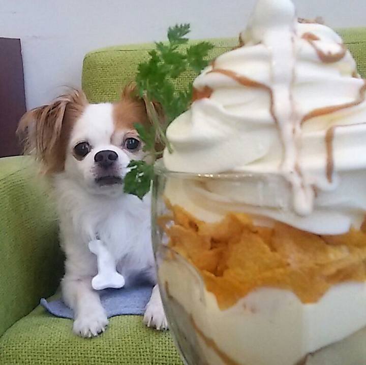 1839f81f 033b 45cc a220 7ffe7b27e0ed