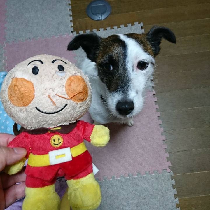 1839f9fd 507b 4873 9a8d 8f12e28ecb9f