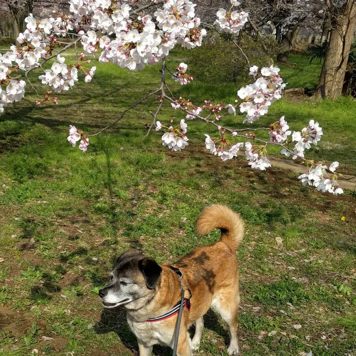 183a580f 9e83 4518 959f 6f7133ff93f9