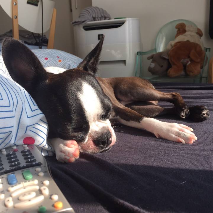 183ae029 48a4 47e1 b09f 20e2bbe78d17