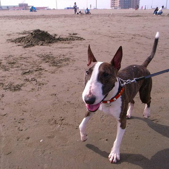 183b98af 8716 47fa 83af 7ae57410e23c