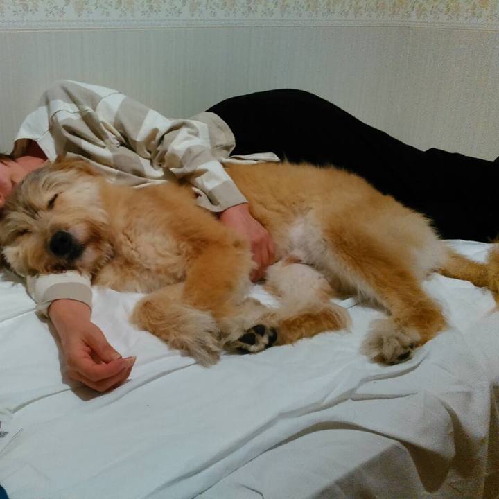 183b9a77 bb21 443b 8d13 73259f849b74