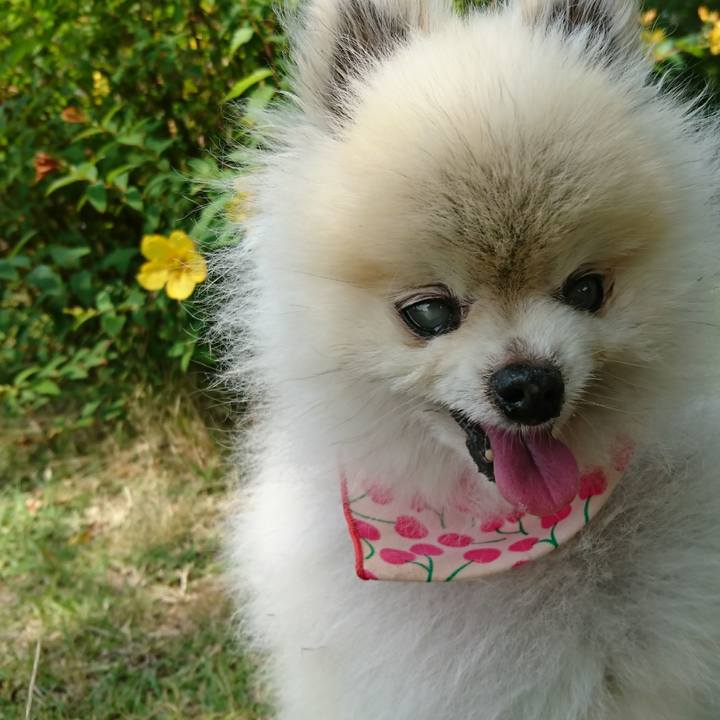 183d4f68 ce3a 4ab1 9971 082063c440e6