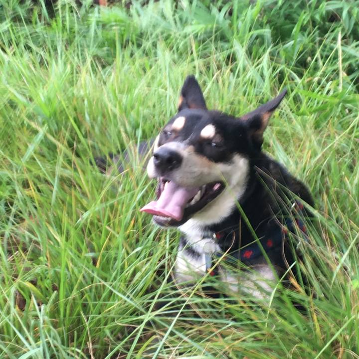 183d8c4e cefd 48bd a14e 87eeaf7ef1ea