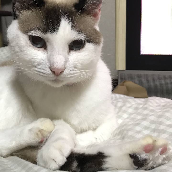 183dc325 8bb5 48ae b5da 28135011eefe