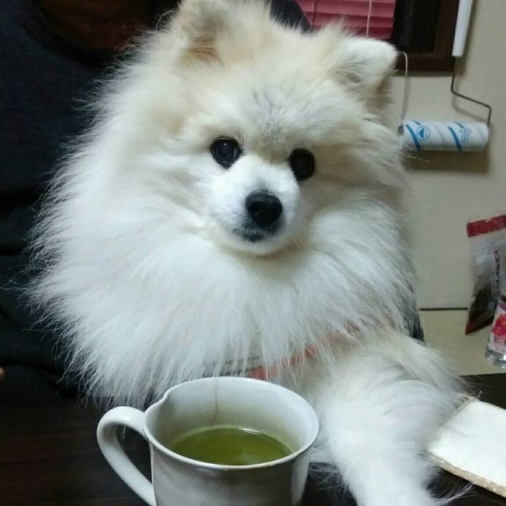 183e1854 f0eb 41df 84c3 32907478243c