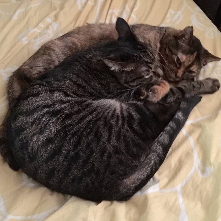 183e57a6 bb0f 4012 83a0 85dbbb393c8c