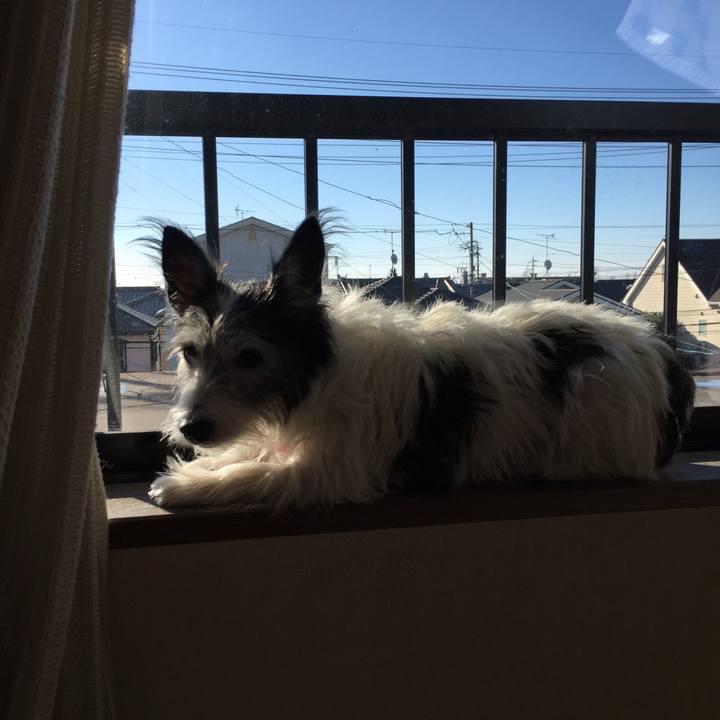 183ececd 328b 44c4 812f 35cd9fc1d27d