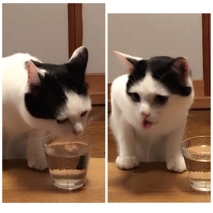 18403667 73f6 4801 a586 50749c0f6002