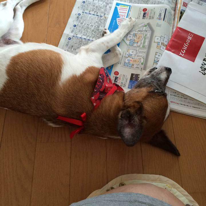 18408bff 896e 4b60 9ca3 f88e4db08840