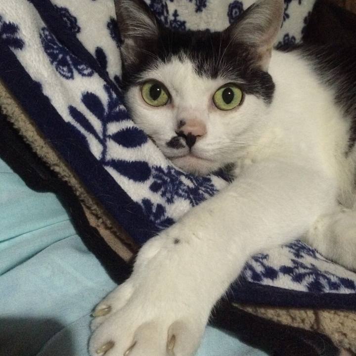 1840ad1b de6e 402d b49e 643f0dc3ab65