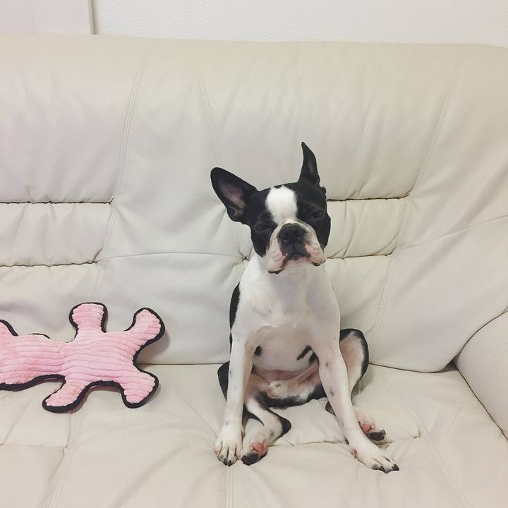 1840dde7 802c 458a 809c 74051a46ec08