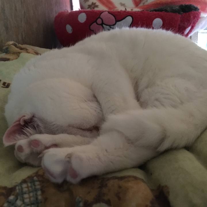 18415ac4 b1ad 4c8e a7d5 d331b8b36a67